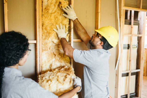 Types of Insulation We Offer in Villas, FL